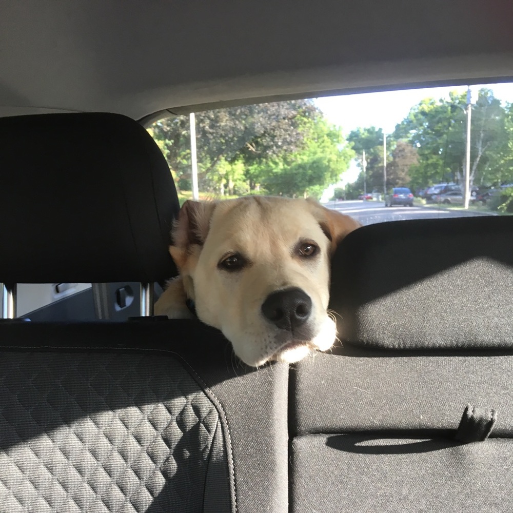 Meet your Posher, Amy